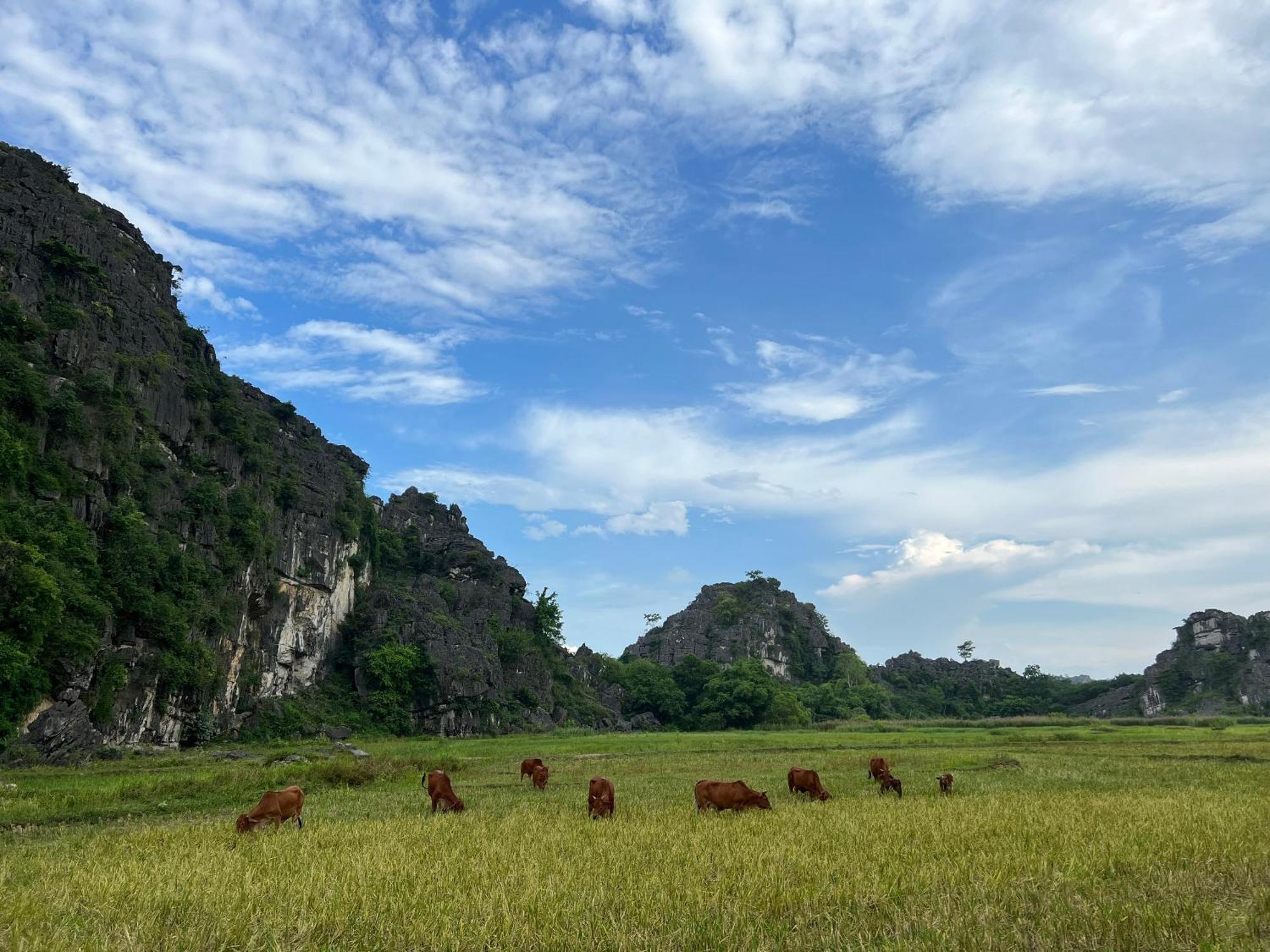 Ninh Binh Family Homestay ภายนอก รูปภาพ