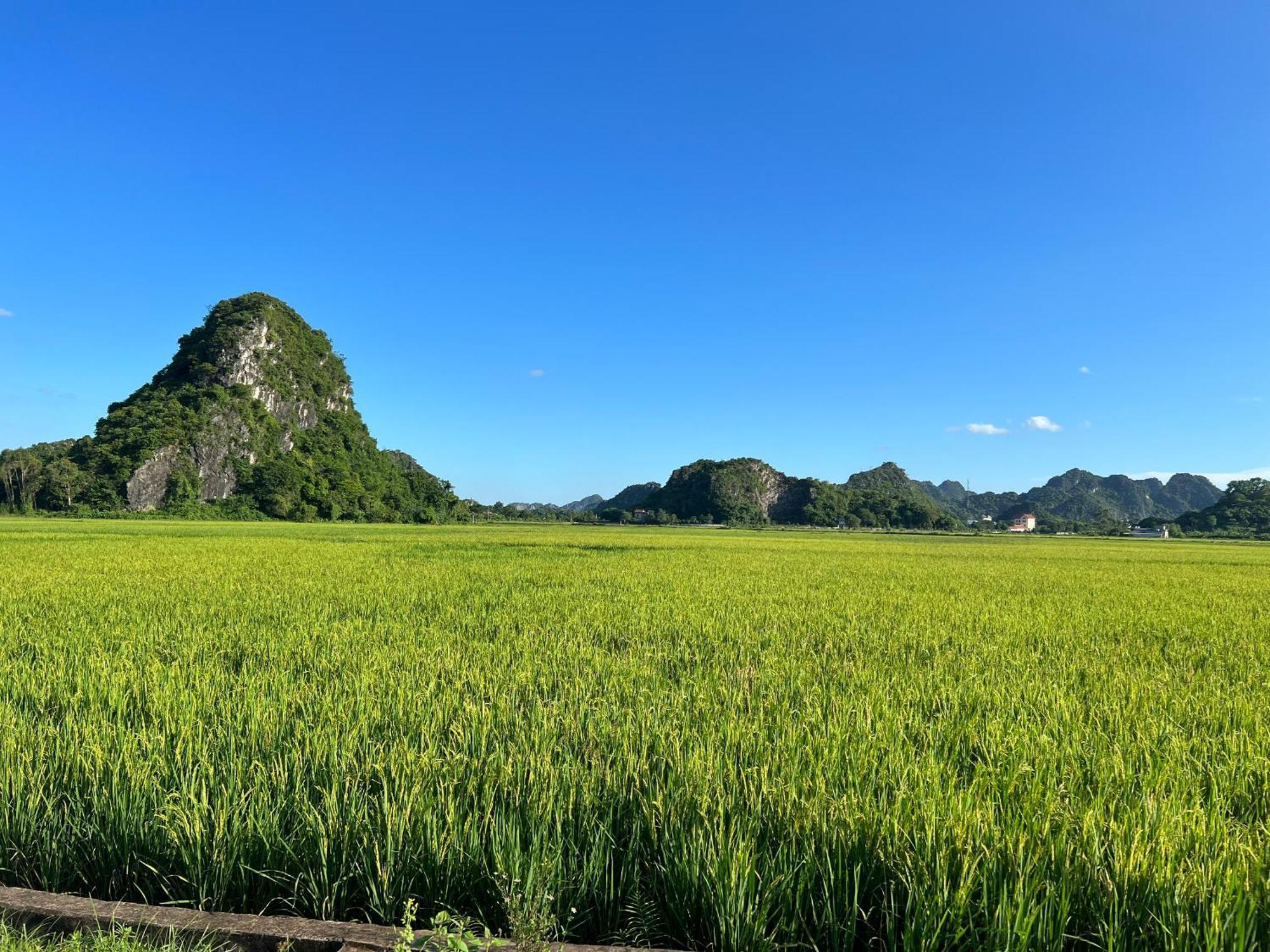 Ninh Binh Family Homestay ภายนอก รูปภาพ